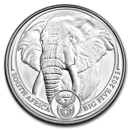 south-african-platinum-krugerrand-big-five-coins