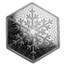 10 oz Silver Hexagon - Snowflake