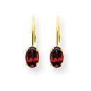 14k 6x4 mm Oval Garnet Leverback Earrings