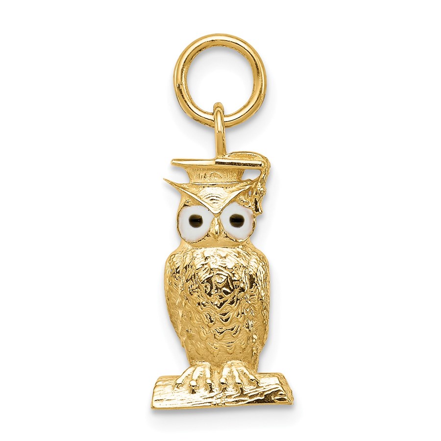 14k Gold Graduation Owl Charm with Enamel