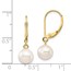 14k Yellow Gold White Round Pearl Leverback Earrings - 7-8 mm