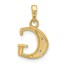 14K Yellow & Rhodium Diamond Letter G Initial Pendant - 19 mm