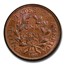1802 Draped Bust Large Cent MS-66 PCGS (Red/Brown)