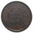 1808 Draped Bust Half Cent XF-45 NGC (Brown)