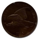 1856 Flying Eagle Cent MS-62 PCGS CAC (Rattler)