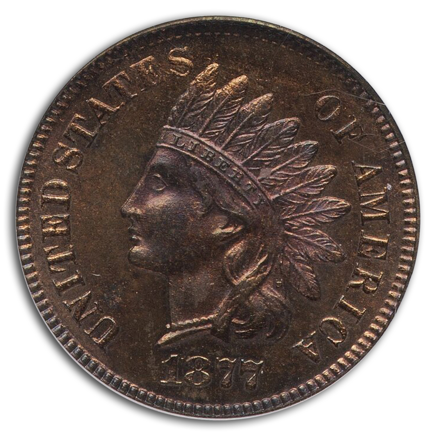 アンティークコイン 硬貨 1877 Indian Head Cent certified MS 64 RB