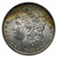 1878-1904 Morgan Dollars BU (Beautifully Toned)