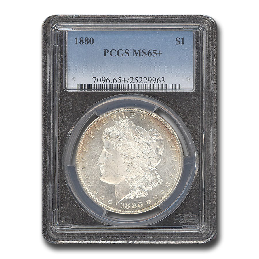 Buy 1880 Morgan Dollar MS-65+ PCGS (Plus) | APMEX