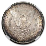 1880-S Morgan Dollar MS-64 PL NGC