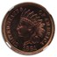 1881 Indian Head Cent PF-66 NGC (Red/Brown)