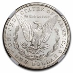 1882-S Morgan Dollar MS-62 NGC