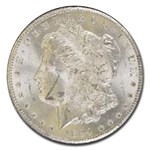 1884-CC Morgan Dollar MS-62 NGC (GSA)