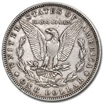 1884 Morgan Dollar XF