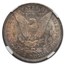 1887/6 Morgan Dollar MS-65 NGC (VAM-2)
