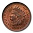 1891 Indian Head Cent MS-66 NGC (Red/Brown)