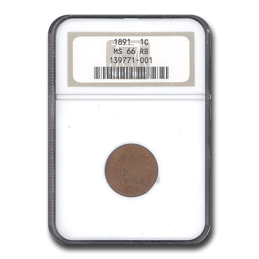 1891 Indian Head Cent MS-66 NGC (Red/Brown)