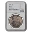 1891 Morgan Dollar MS-64 NGC (Toned)