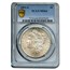 1891-S Morgan Dollar MS-64 PCGS