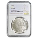 1896 Morgan Dollar MS-66 NGC