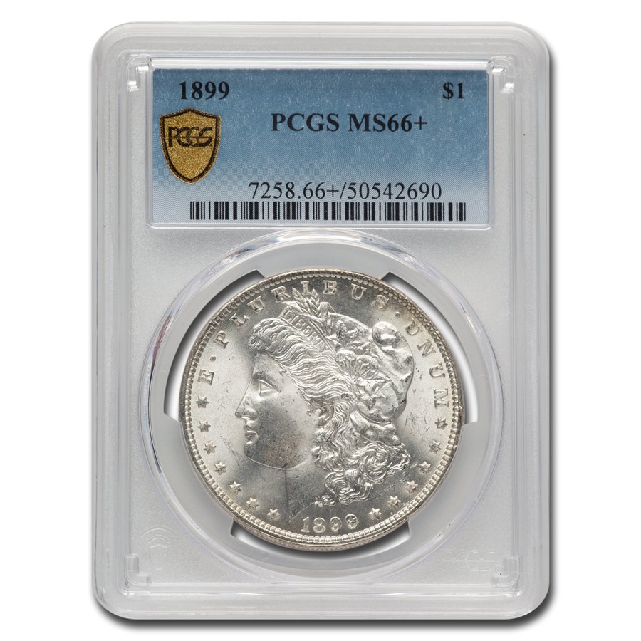 Buy an 1899 Morgan Dollar MS-66+ PCGS Today | APMEX