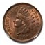 1900 Indian Head Cent MS-63 NGC (Red/Brown)