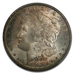 1902-O Morgan Dollar MS-67 PCGS