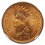 1904 Indian Head Cent MS-66 NGC (Red)