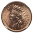 1905 Indian Head Cent MS-67 NGC (Red)