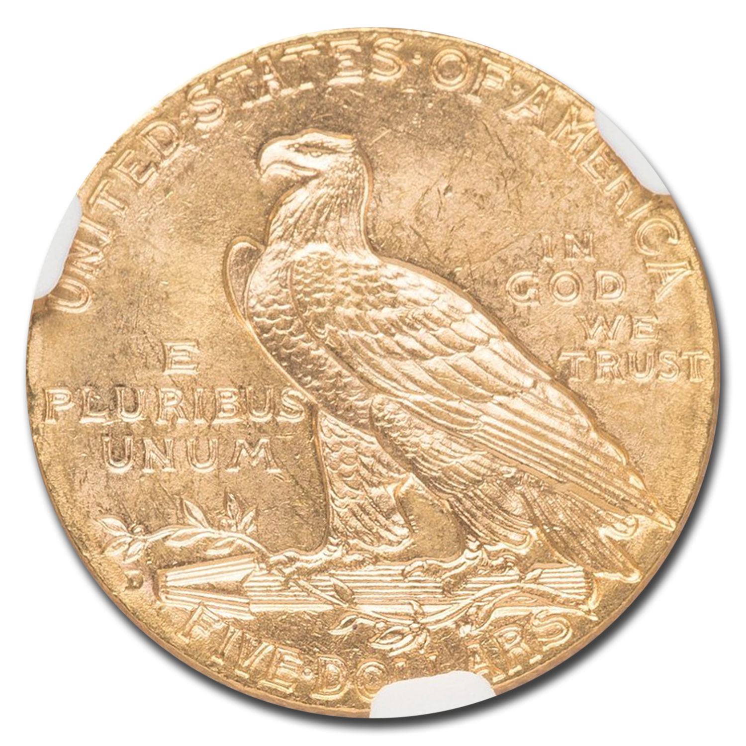 1909 D Indian Head Half Eagle Value APMEX