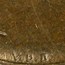 1909-S VDB Lincoln Cent XF