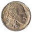 1913-D Buffalo Nickel Type-I MS-67 NGC