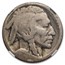 1916 Buffalo Nickel AG-3 NGC (Doubled Die Obverse)