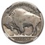 1916 Buffalo Nickel AG-3 NGC (Doubled Die Obverse)