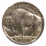 1919 Buffalo Nickel MS-66+ NGC