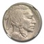 1921-S Buffalo Nickel AU-50 NGC