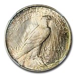 1923-D Peace Dollar MS-67 NGC