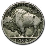 1924-D Buffalo Nickel VF