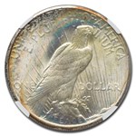 1924-S Peace Dollar MS-64 NGC