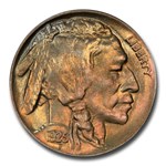 1925-D Buffalo Nickel MS-66 PCGS