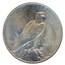 1926 Peace Dollar MS-66+ PCGS CAC