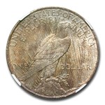 1927-D Peace Dollar MS-64+ NGC CAC