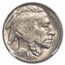 1931-S Buffalo Nickel MS-65 NGC