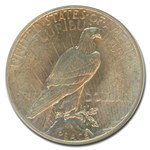 1934 Peace Dollar MS-62 NGC