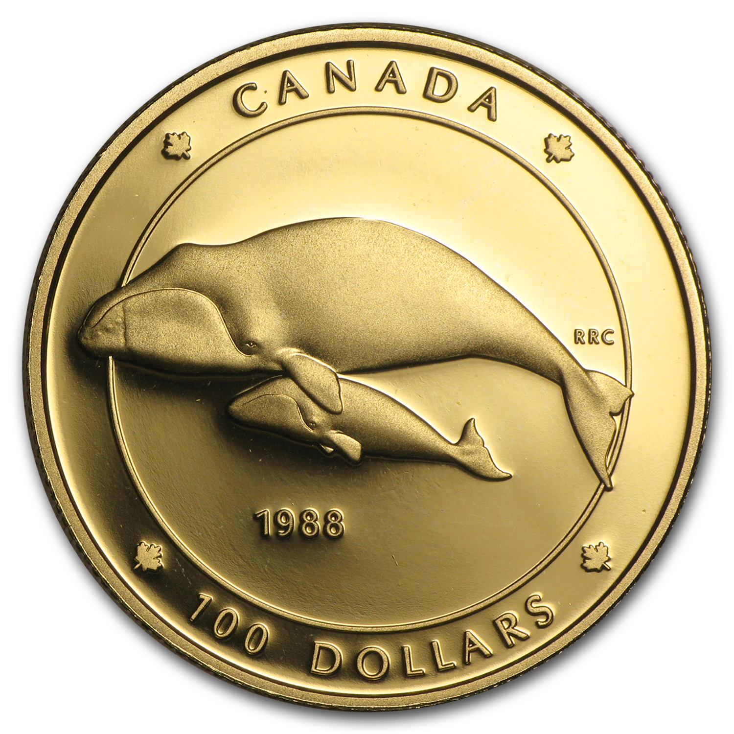 Buy 1988 Canada 1/4 oz Proof Gold $100 Bowhead Whale | APMEX