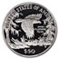 1999-W 1/2 oz Proof American Platinum Eagle PR-70 DCAM CACG