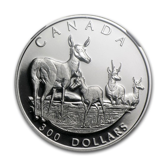 Buy 2000 Canada 1 oz Proof Platinum Pronghorn PF-69 NGC | APMEX