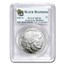 2001-D Buffalo Black Diamond $1 Silver Commem MS-70 PCGS
