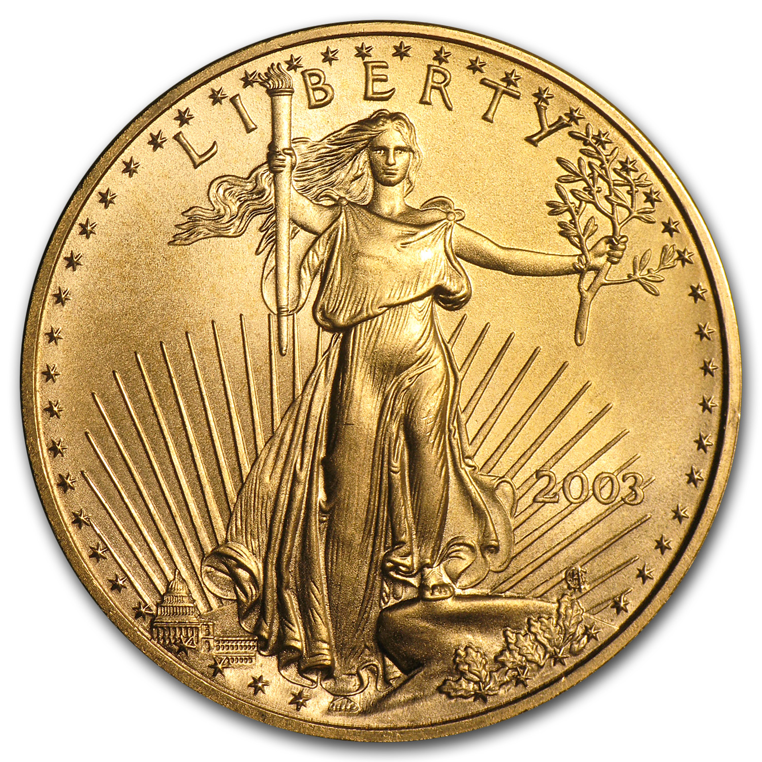 Buy 2003 1 oz American Gold Eagle BU | APMEX