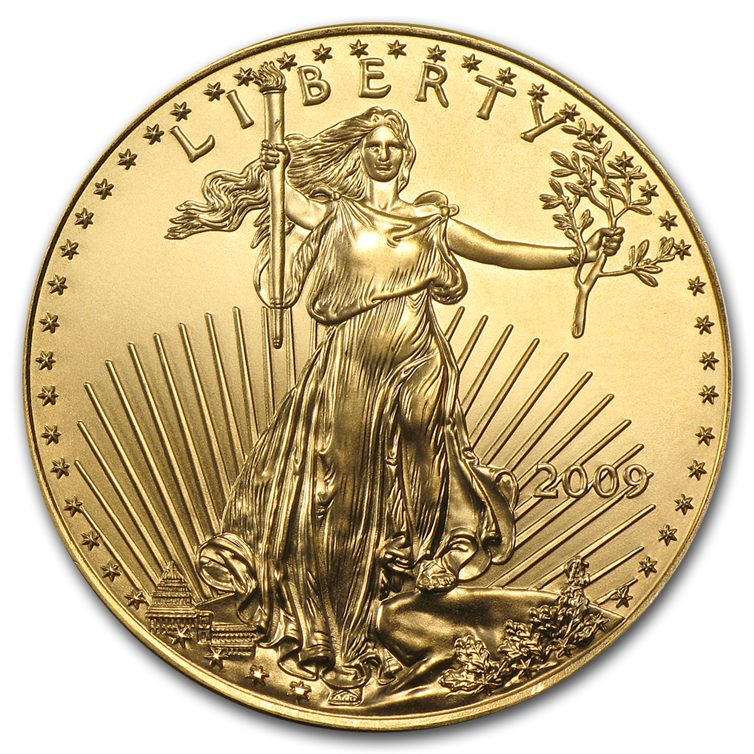 Buy 2009 1 oz American Gold Eagle BU | APMEX