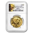 2009 1 oz Gold Buffalo MS-70 NGC (Early Releases)
